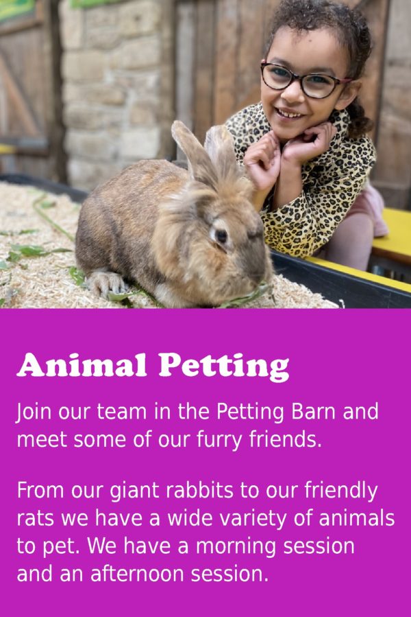 Lancaster Park & Animal Farm - Children's Petting Zoo near Oldham